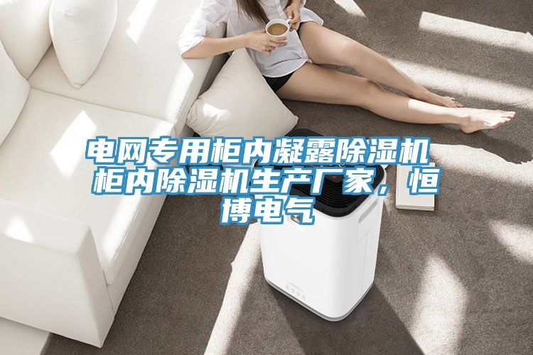 电网专用柜内凝露91香蕉视频下载网站 柜内91香蕉视频下载网站生产厂家，恒博电气