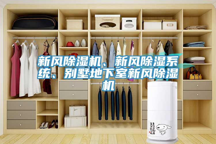 新风91香蕉视频下载网站、新风除湿系统、别墅地下室新风91香蕉视频下载网站