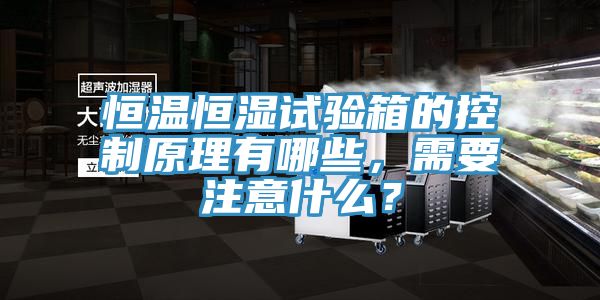 恒温恒湿试验箱的控制原理有哪些，需要注意什么？