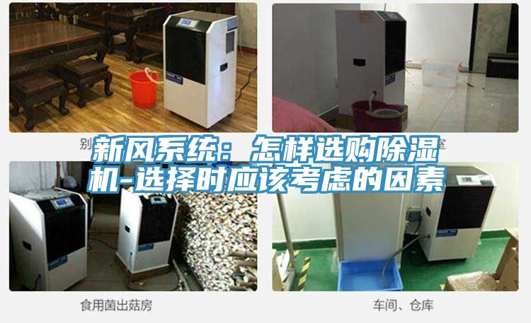 新风系统：怎样选购91香蕉视频下载网站-选择时应该考虑的因素