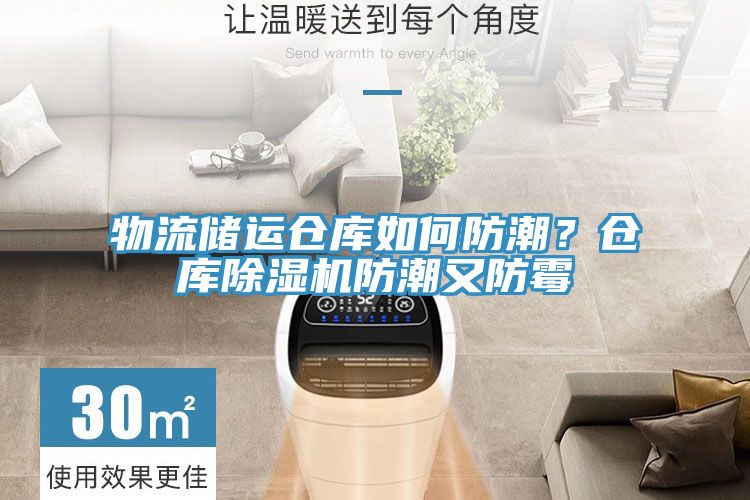 物流储运仓库如何防潮？仓库91香蕉视频下载网站防潮又防霉