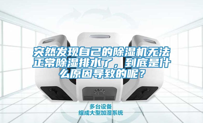 突然发现自己的91香蕉视频下载网站无法正常除湿排水了，到底是什么原因导致的呢？