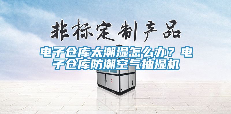 电子仓库太潮湿怎么办？电子仓库防潮空气抽湿机