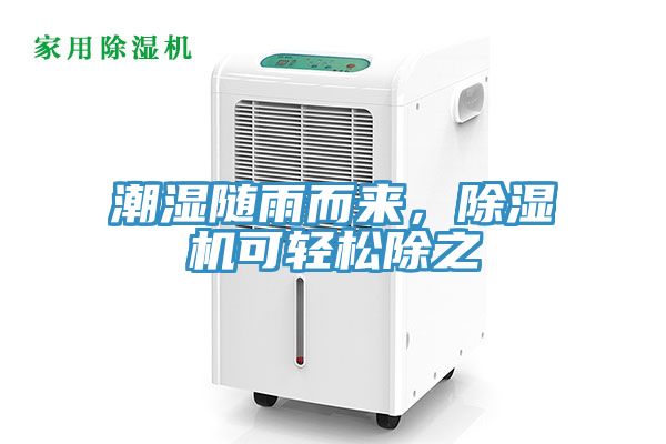 潮湿随雨而来，91香蕉视频下载网站可轻松除之