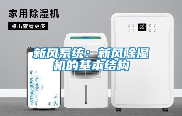 新风系统：新风91香蕉视频下载网站的基本结构