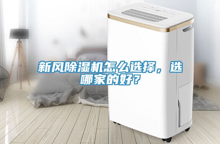 新风91香蕉视频下载网站怎么选择，选哪家的好？