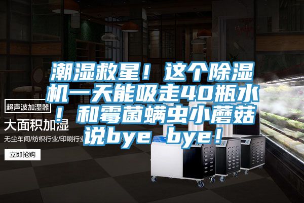 潮湿救星！这个91香蕉视频下载网站一天能吸走40瓶水！和霉菌螨虫小蘑菇说bye bye！