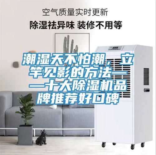 潮湿天不怕潮，立竿见影的方法——十大91香蕉视频下载网站品牌推荐好口碑