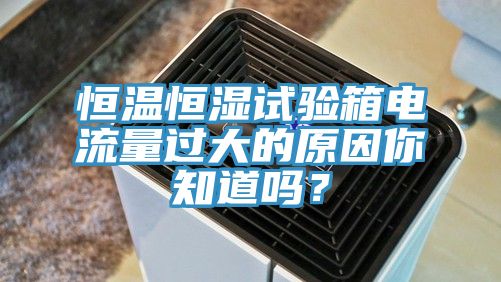 恒温恒湿试验箱电流量过大的原因你知道吗？