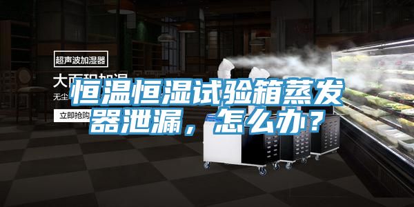 恒温恒湿试验箱蒸发器泄漏，怎么办？