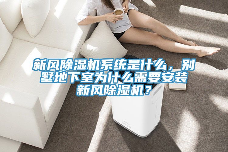 新风91香蕉视频下载网站系统是什么，别墅地下室为什么需要安装新风91香蕉视频下载网站？