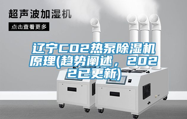 辽宁CO2热泵91香蕉视频下载网站原理(趋势阐述，2022已更新)