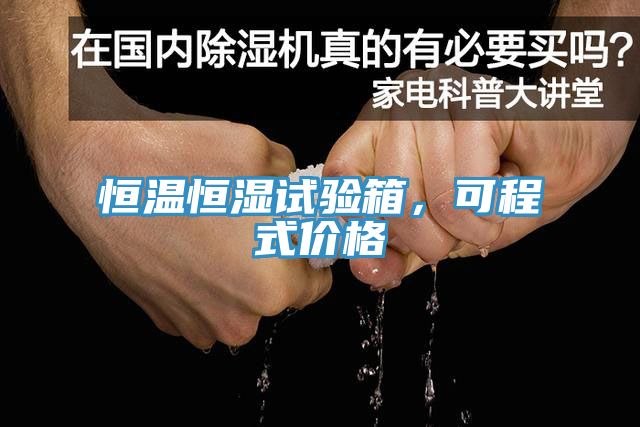 恒温恒湿试验箱，可程式价格