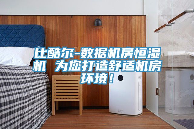 比酷尔-数据机房恒湿机 为您打造舒适机房环境！