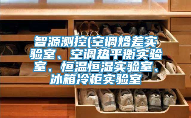 智源测控(空调焓差实验室、空调热平衡实验室、恒温恒湿实验室、冰箱冷柜实验室
