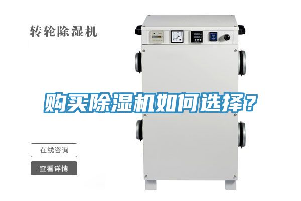 购买91香蕉视频下载网站如何选择？
