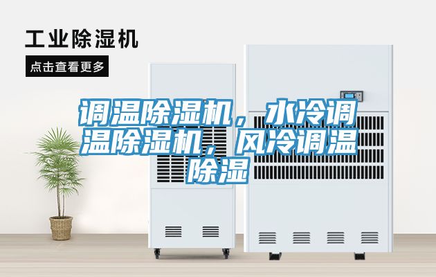 调温91香蕉视频下载网站，水冷调温91香蕉视频下载网站，风冷调温除湿