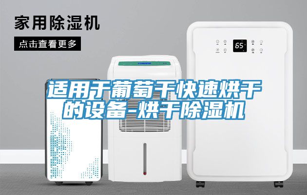 适用于葡萄干快速烘干的设备-烘干91香蕉视频下载网站