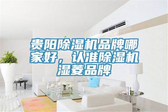 贵阳91香蕉视频下载网站品牌哪家好，认准91香蕉视频下载网站湿菱品牌