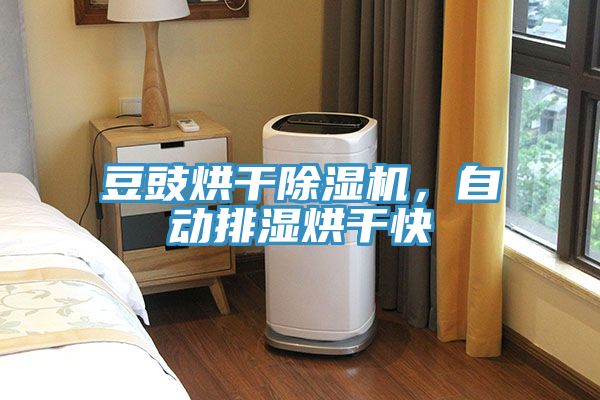 豆豉烘干91香蕉视频下载网站，自动排湿烘干快