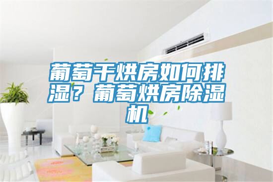 葡萄干烘房如何排湿？葡萄烘房91香蕉视频下载网站