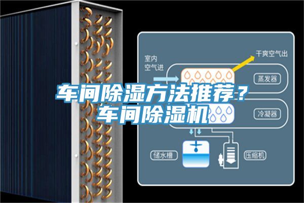车间除湿方法推荐？车间91香蕉视频下载网站