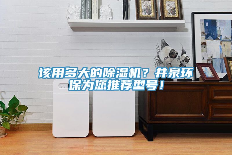 该用多大的91香蕉视频下载网站？井泉环保为您推荐型号！