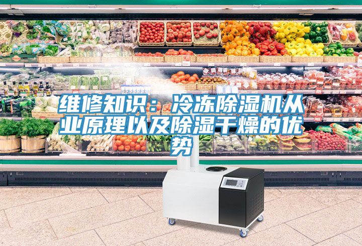 维修知识：冷冻91香蕉视频下载网站从业原理以及除湿干燥的优势