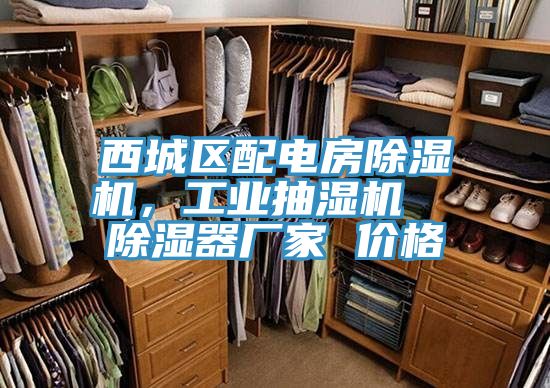 西城区配电房91香蕉视频下载网站，工业抽湿机  除湿器厂家 价格