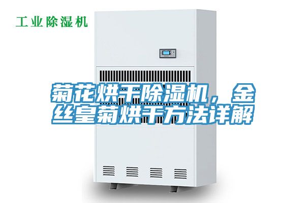 菊花烘干91香蕉视频下载网站，金丝皇菊烘干方法详解