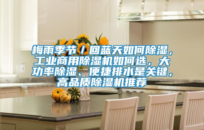 梅雨季节／回蓝天如何除湿，工业商用91香蕉视频下载网站如何选，大功率除湿、便捷排水是关键，高品质91香蕉视频下载网站推荐