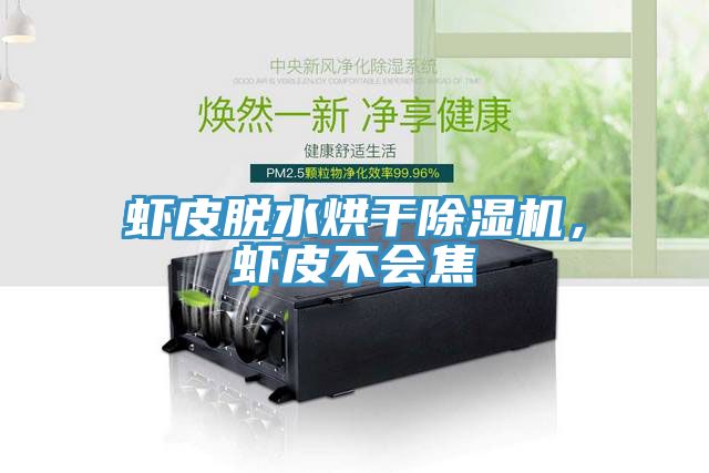 虾皮脱水烘干91香蕉视频下载网站，虾皮不会焦