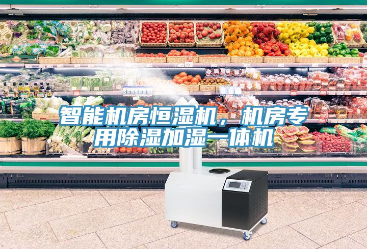 智能机房恒湿机，机房专用除湿加湿一体机