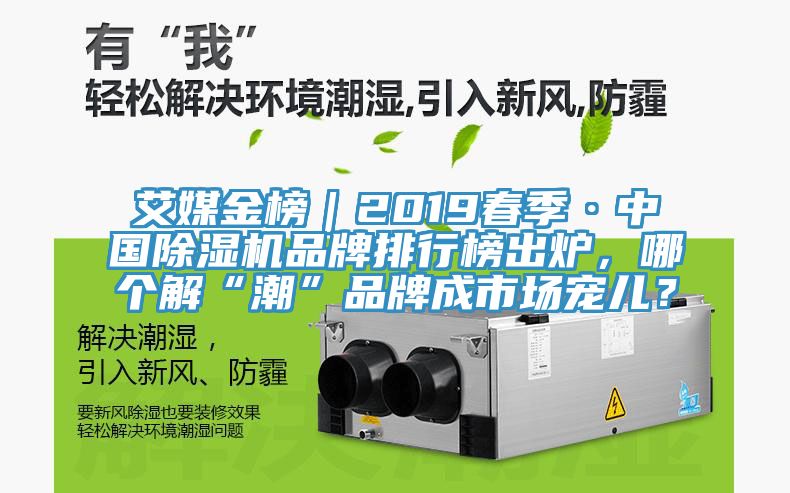 艾媒金榜｜2019春季·中国91香蕉视频下载网站品牌排行榜出炉，哪个解“潮”品牌成市场宠儿？