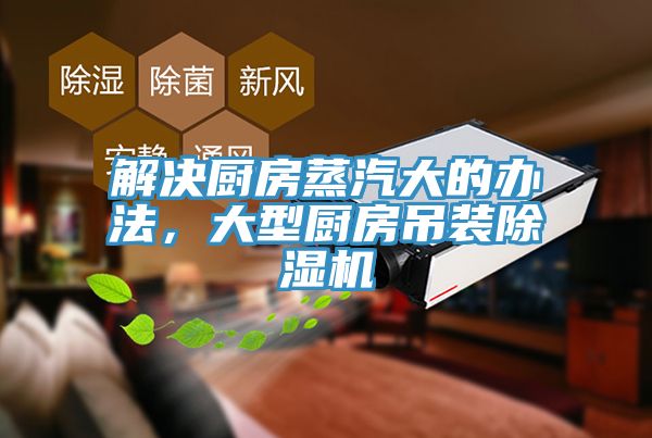 解决厨房蒸汽大的办法，大型厨房吊装91香蕉视频下载网站