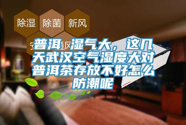普洱 湿气大，这几天武汉空气湿度大对普洱茶存放不好怎么防潮呢