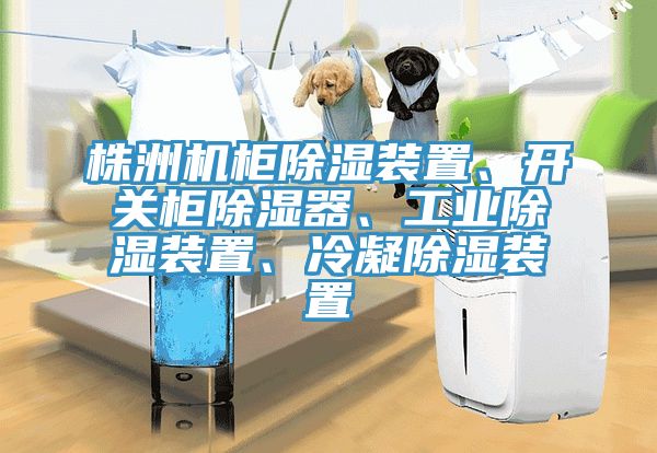 株洲机柜除湿装置、开关柜除湿器、工业除湿装置、冷凝除湿装置