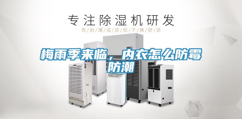 梅雨季来临，内衣怎么防霉防潮