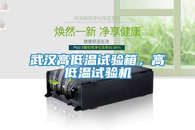 武汉高低温试验箱，高低温试验机