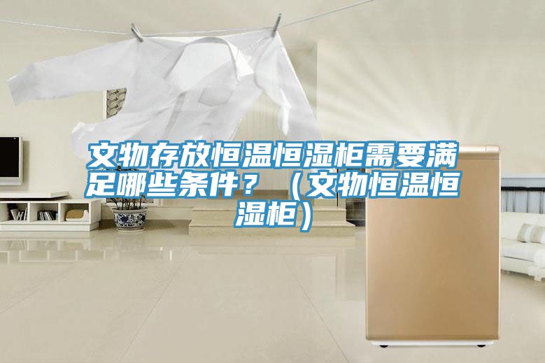 文物存放恒温恒湿柜需要满足哪些条件？（文物恒温恒湿柜）