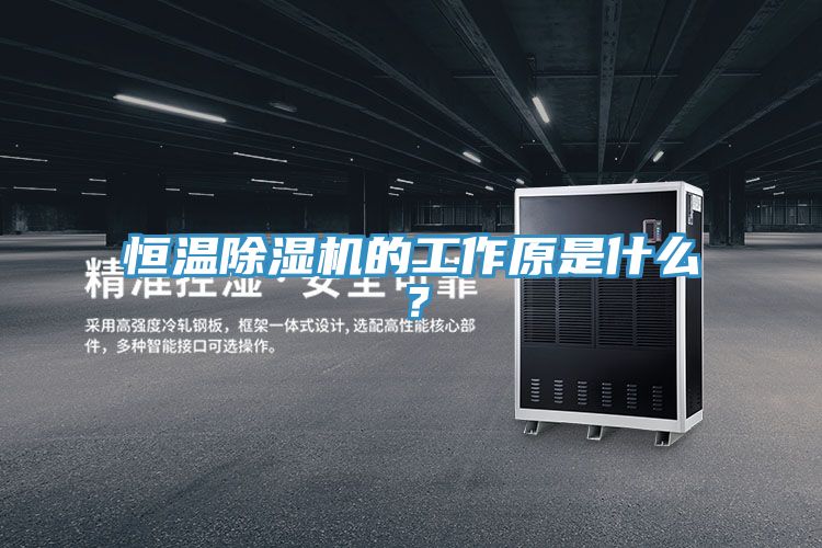 恒温91香蕉视频下载网站的工作原是什么？