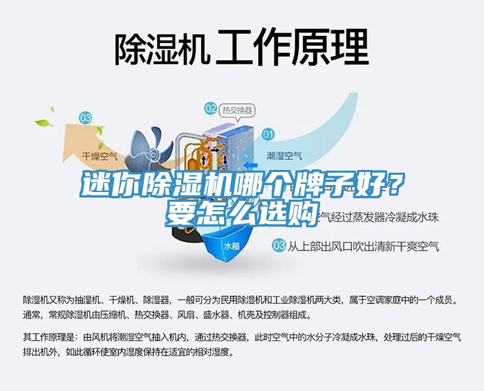 迷你91香蕉视频下载网站哪个牌子好？要怎么选购