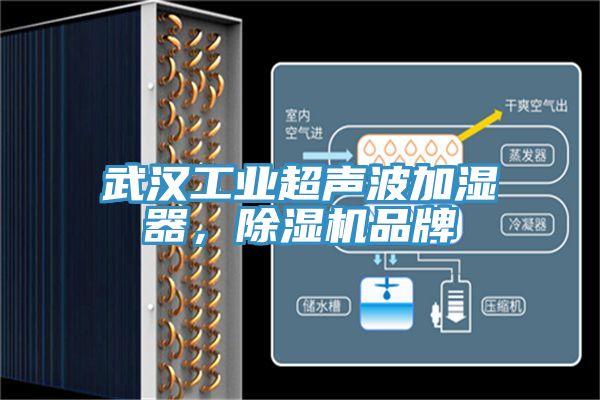 武汉工业超声波加湿器，91香蕉视频下载网站品牌