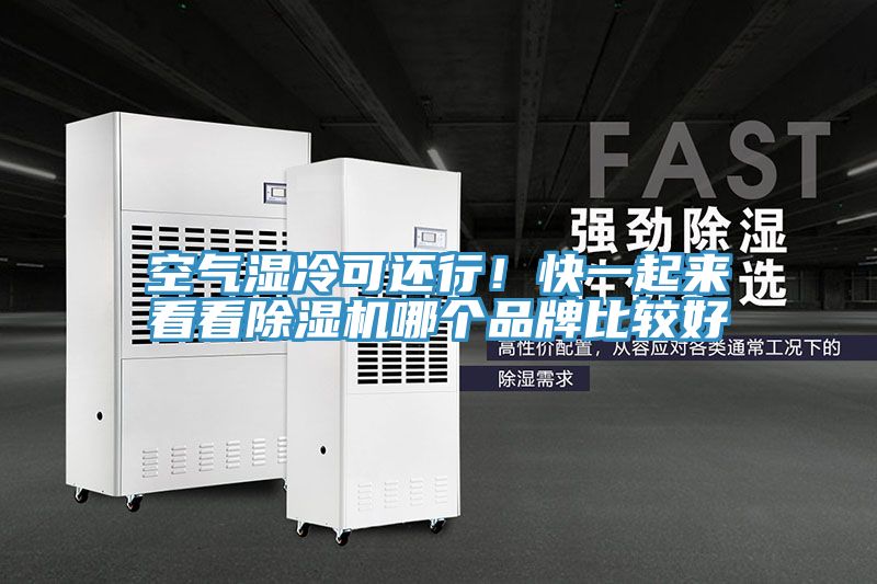 空气湿冷可还行！快一起来看看91香蕉视频下载网站哪个品牌比较好