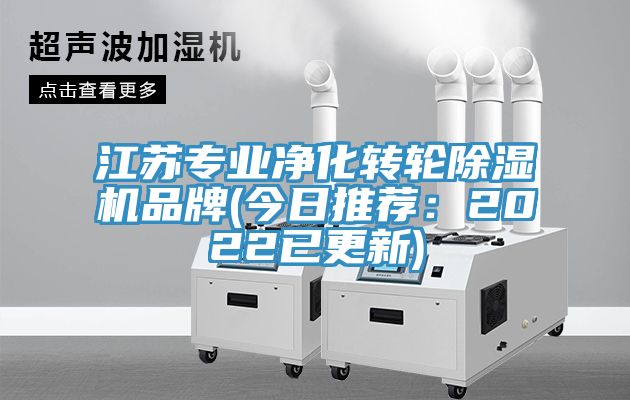 江苏专业净化转轮91香蕉视频下载网站品牌(今日推荐：2022已更新)