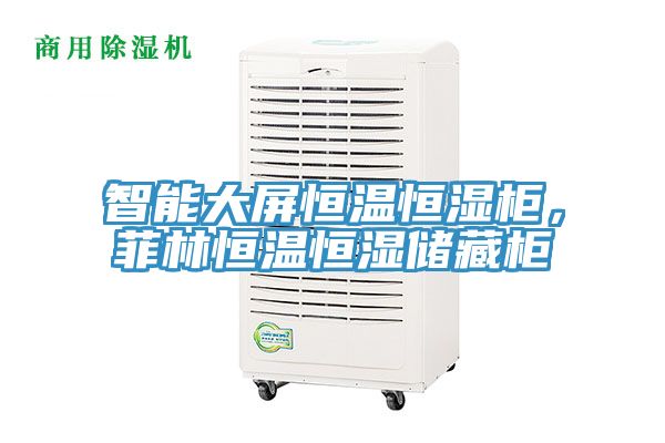 智能大屏恒温恒湿柜，菲林恒温恒湿储藏柜