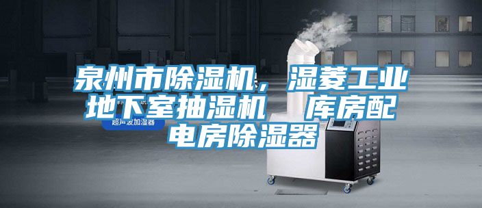 泉州市91香蕉视频下载网站，湿菱工业地下室抽湿机  库房配电房除湿器