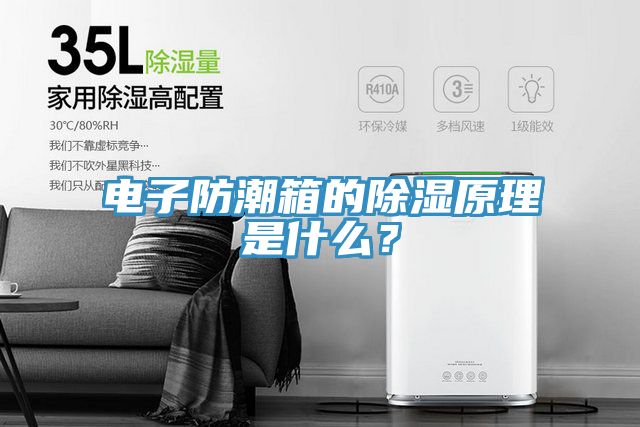 电子防潮箱的除湿原理是什么？