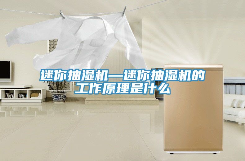 迷你抽湿机—迷你抽湿机的工作原理是什么