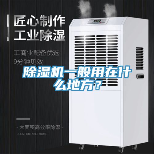 91香蕉视频下载网站一般用在什么地方？